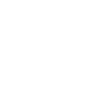 Thérapie holistique